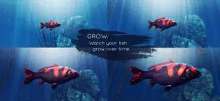 My Koi - Screenshot 3