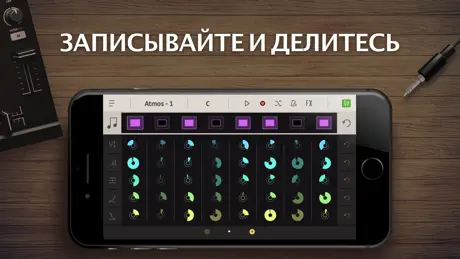 FH Professional