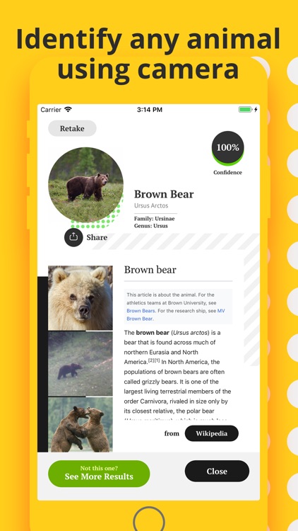 Animal Identifier.
