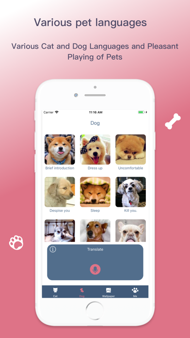 狗语翻译器-人狗猫语宠物翻译器 screenshot 3