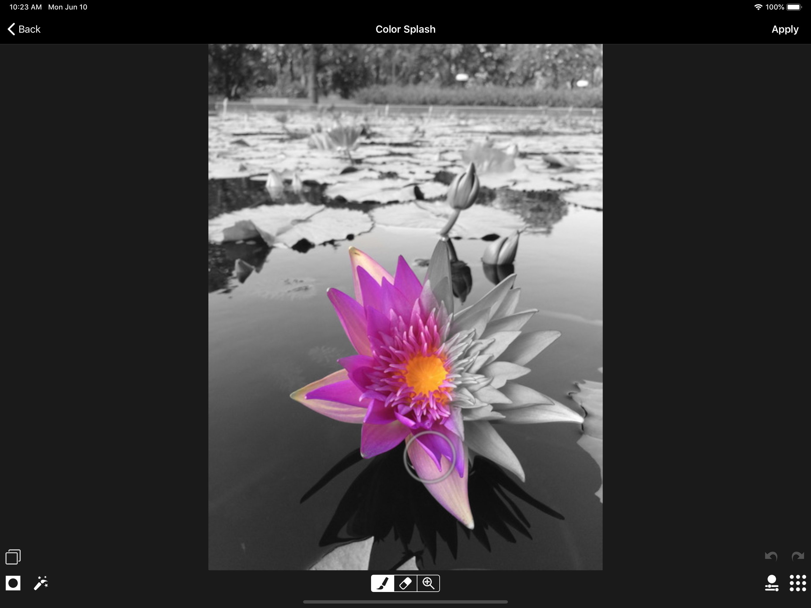 ACDSee Pro