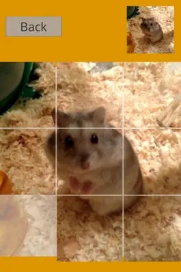 Game screenshot Hamster Slider Puzzle apk