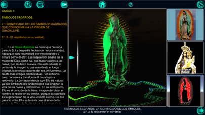 VirgenApp 3D screenshot 4