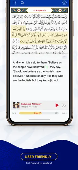 Game screenshot MultiLanguage Quran -ML Quran apk