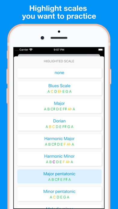 Screenshot 4 of Blue Harmonica App