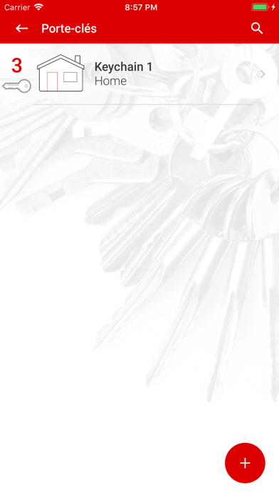 Screenshot #3 pour MYKEYS Organizer