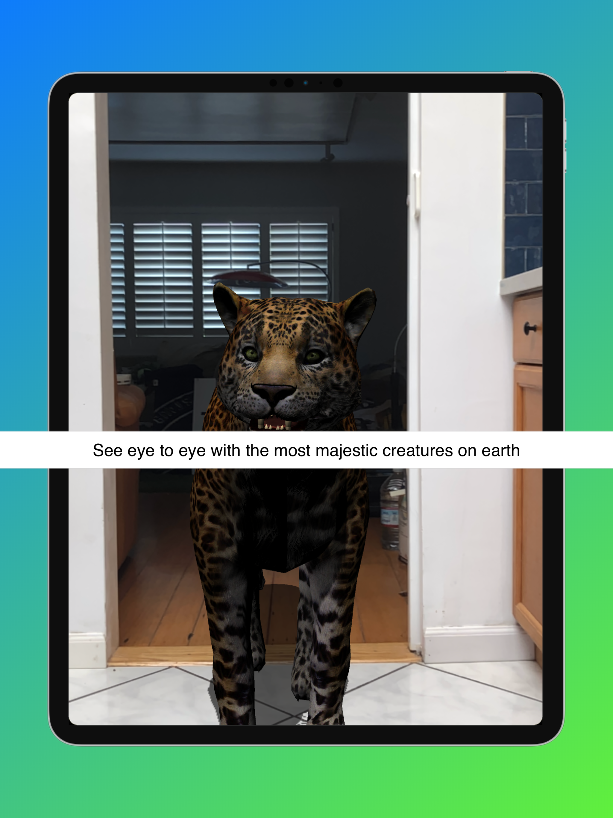 Animal Safari AR - 3D Learning screenshot 15