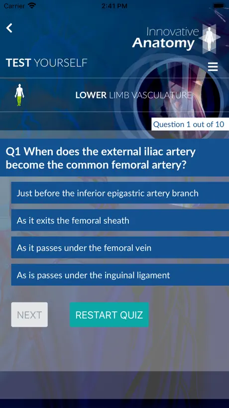 Innovative Anatomy