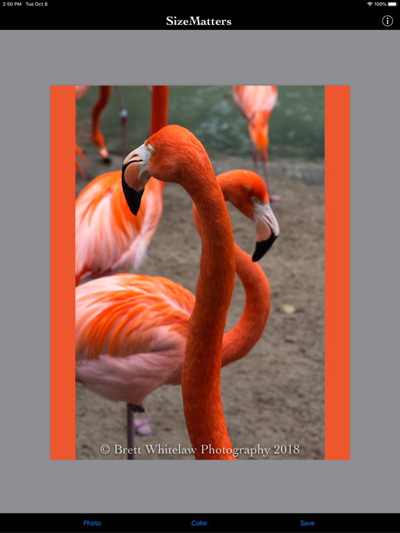 SizeMatters - No Crop Resizing iPad screenshot 6 - Photo & Video app