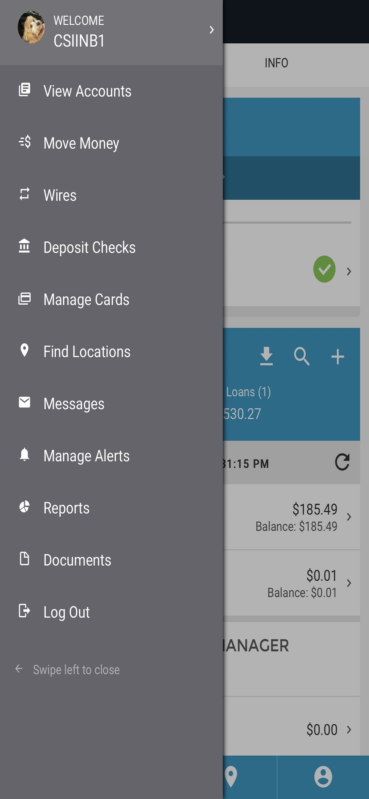 INB Business Banking screenshot 3