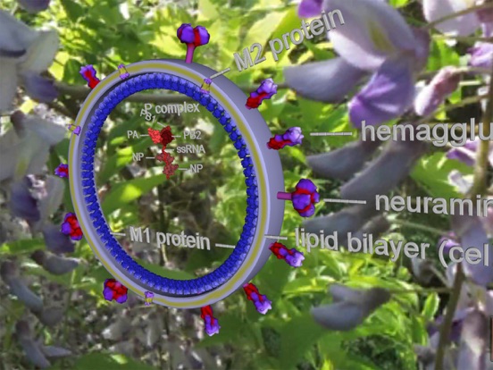 Screenshot #6 pour Bio Virus Structure in 3D
