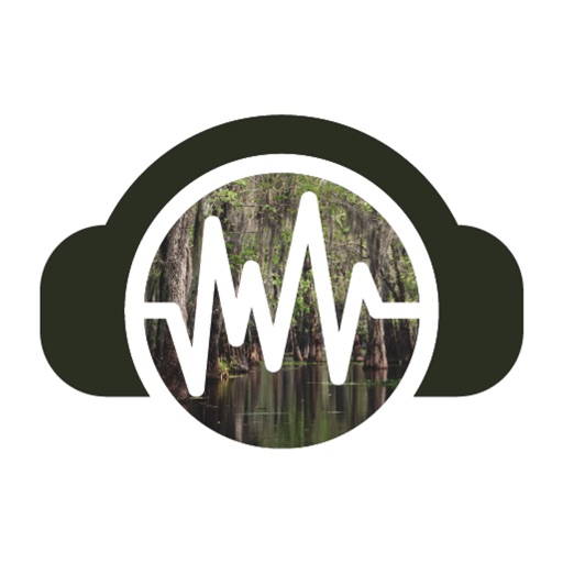 Bayou Sounds Radio iOS App