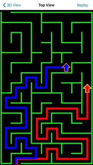 Maze Walk screenshot 3