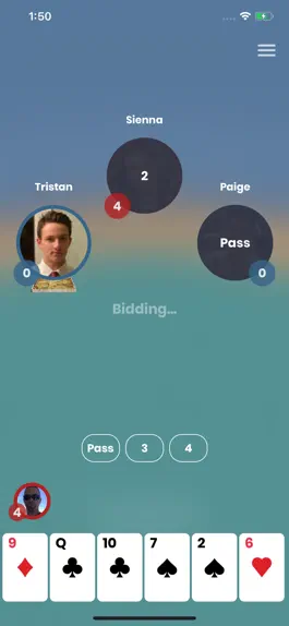 Game screenshot iPitch hack