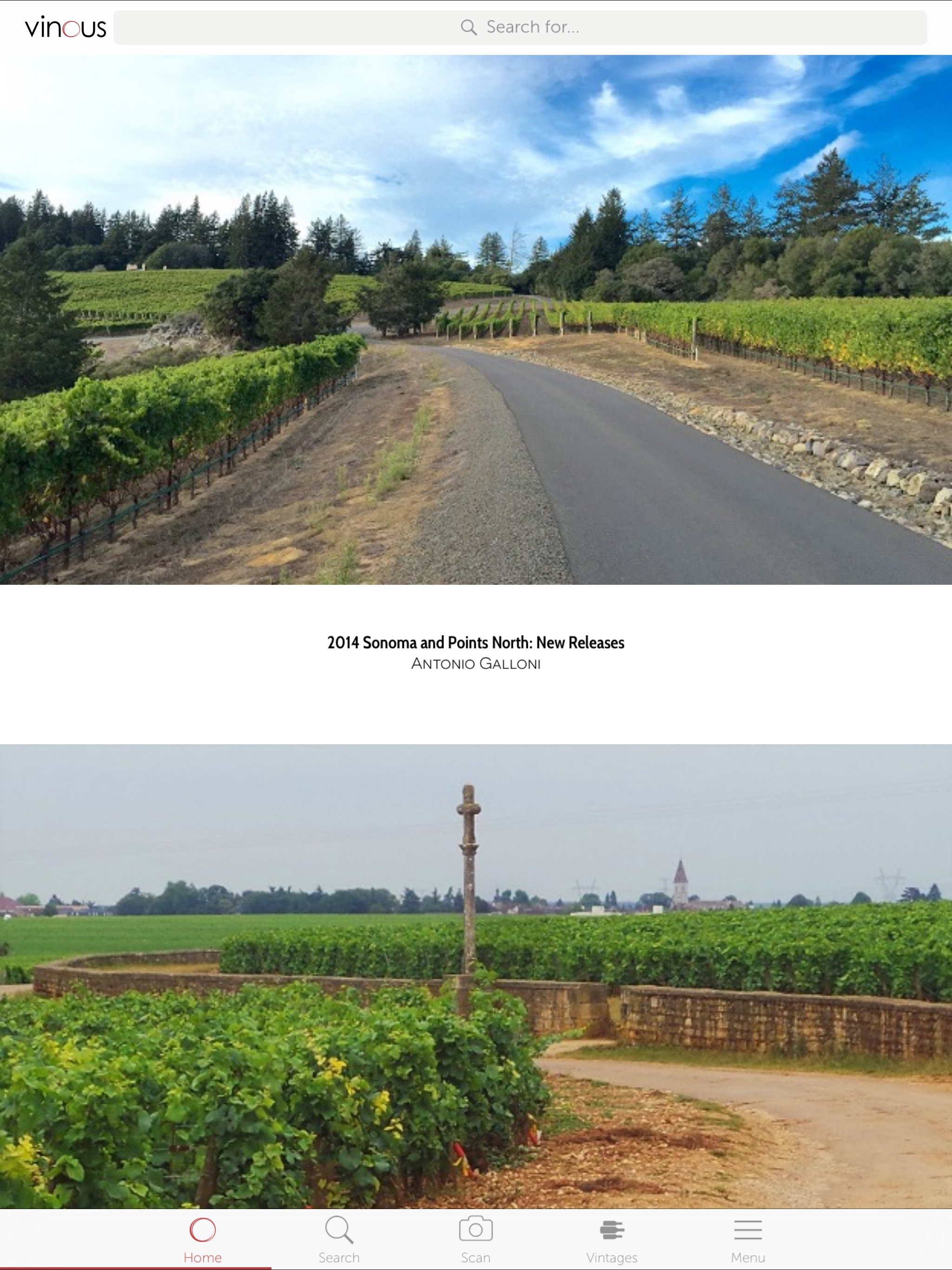 Vinous: Wine Reviews & Ratings