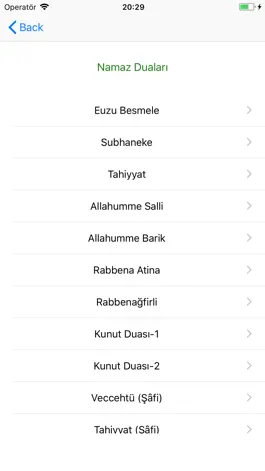 Game screenshot Namaz Sure ve Duaları Ezberle apk