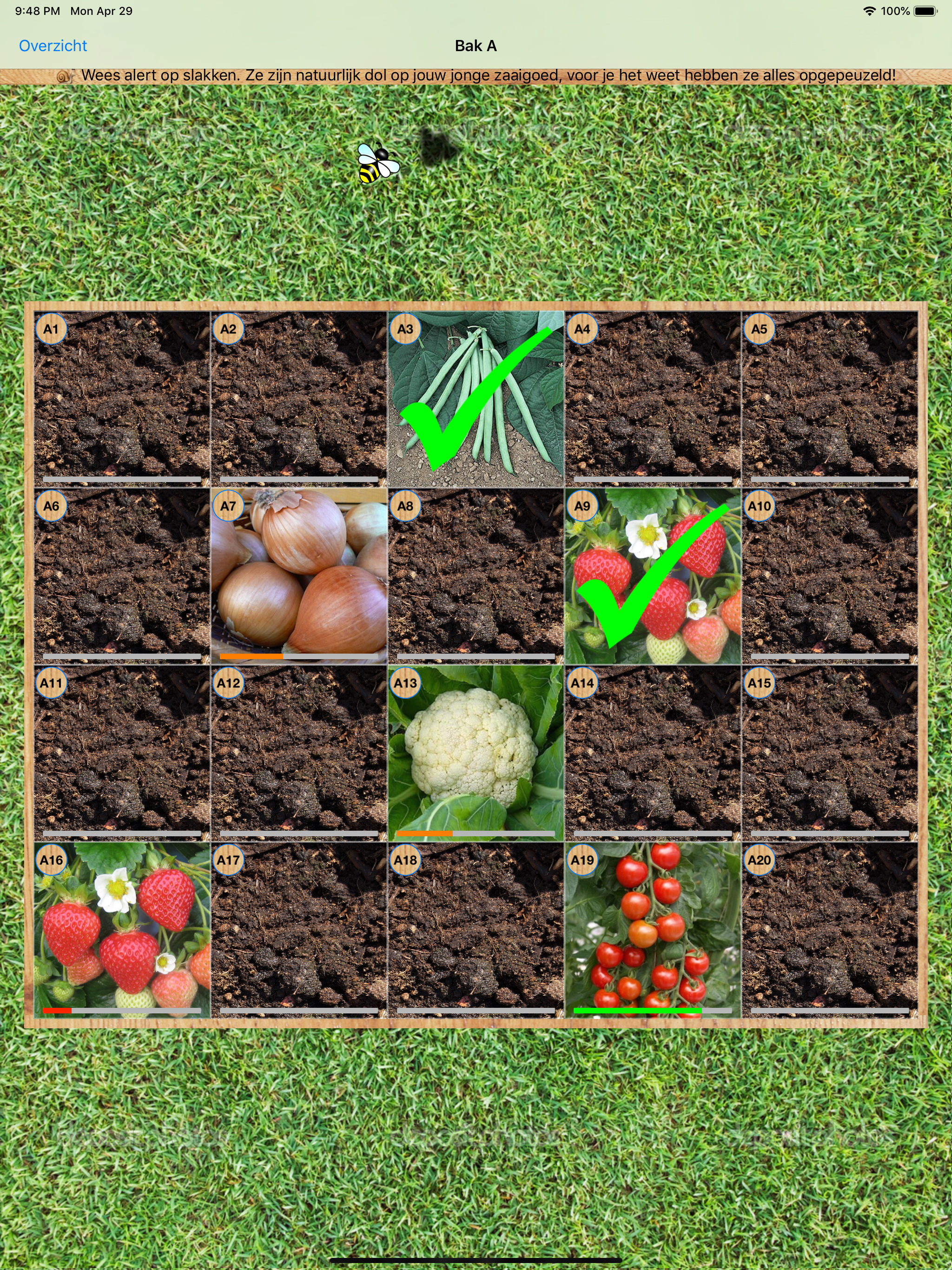 Moestuinder