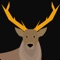 This app is for deer lovers