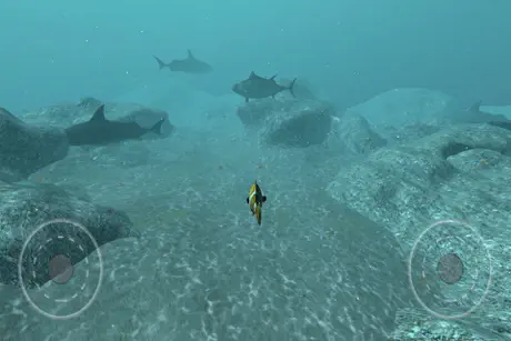Real Fish Simulator