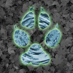 Download Critter Trax - Animal Tracks app
