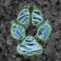 Critter Trax - Animal Tracks app download
