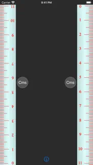 measure ruler - length scale iphone screenshot 1