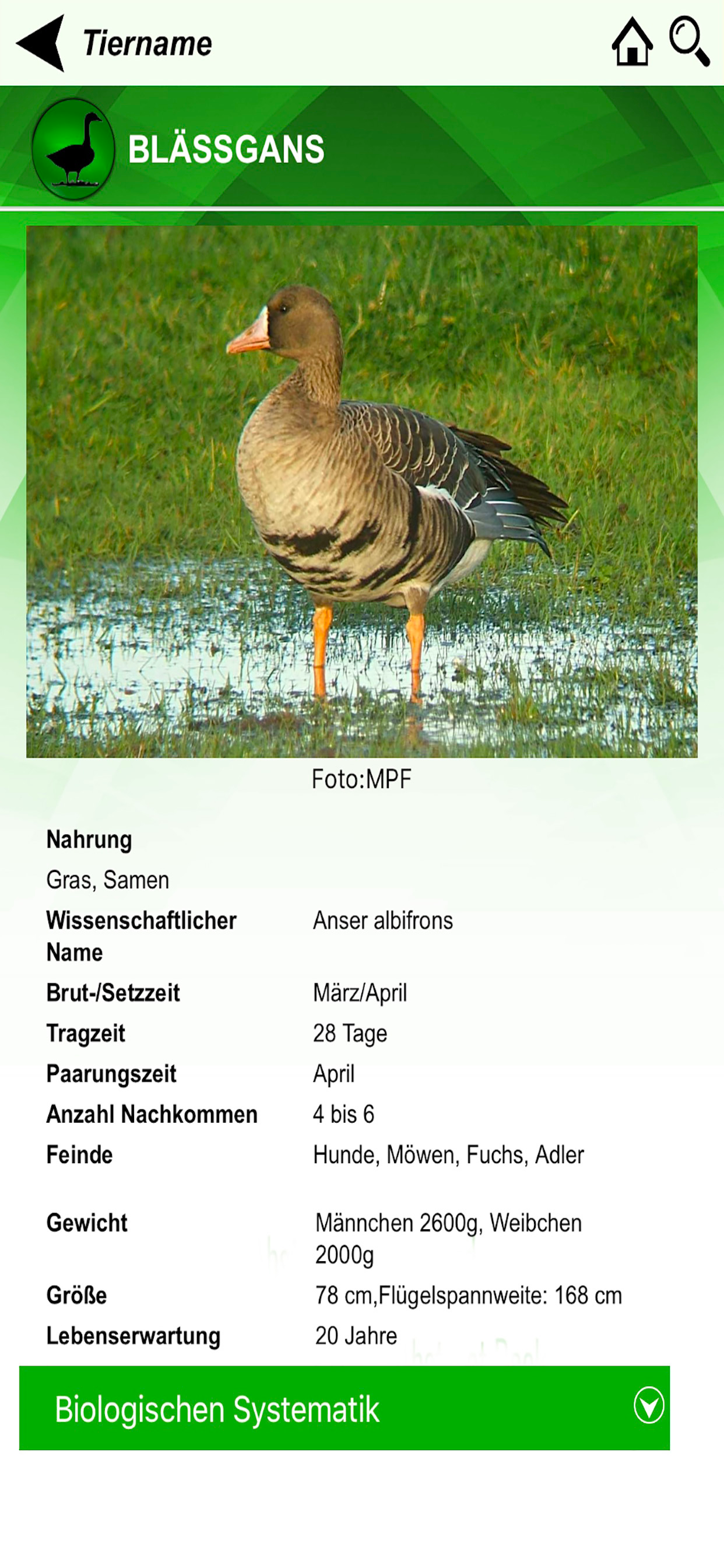 Tierführer App