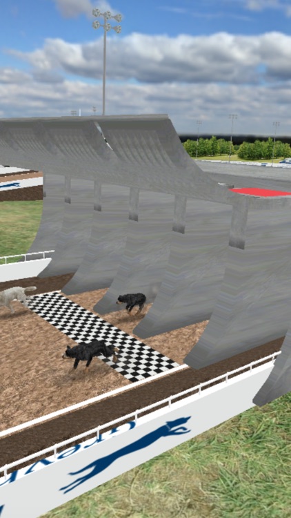 Dog Racing Simulator 2020 screenshot-3