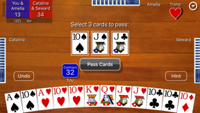 Pinochle Classic screenshot