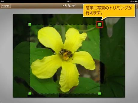 QBプレゼン