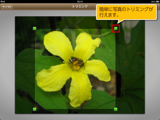 Screenshot #6 pour QBプレゼン