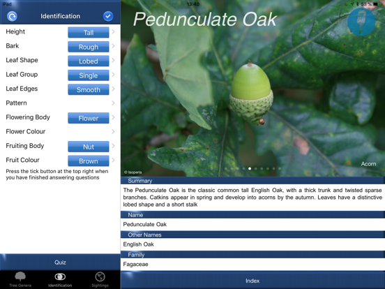 Tree Id identify UK trees iPad screenshot 6 - Reference app