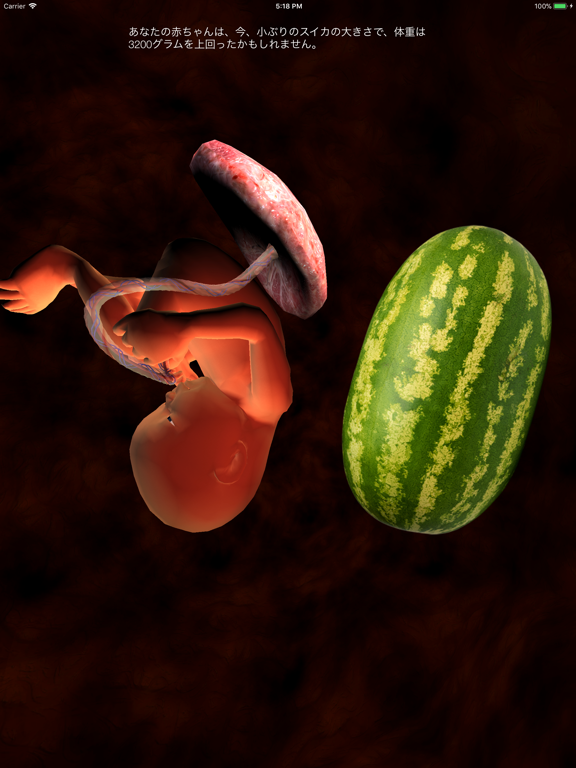 妊娠トラッカー - Sproutのおすすめ画像2