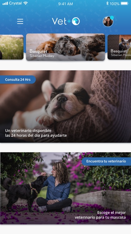 Veterinario Online VETO