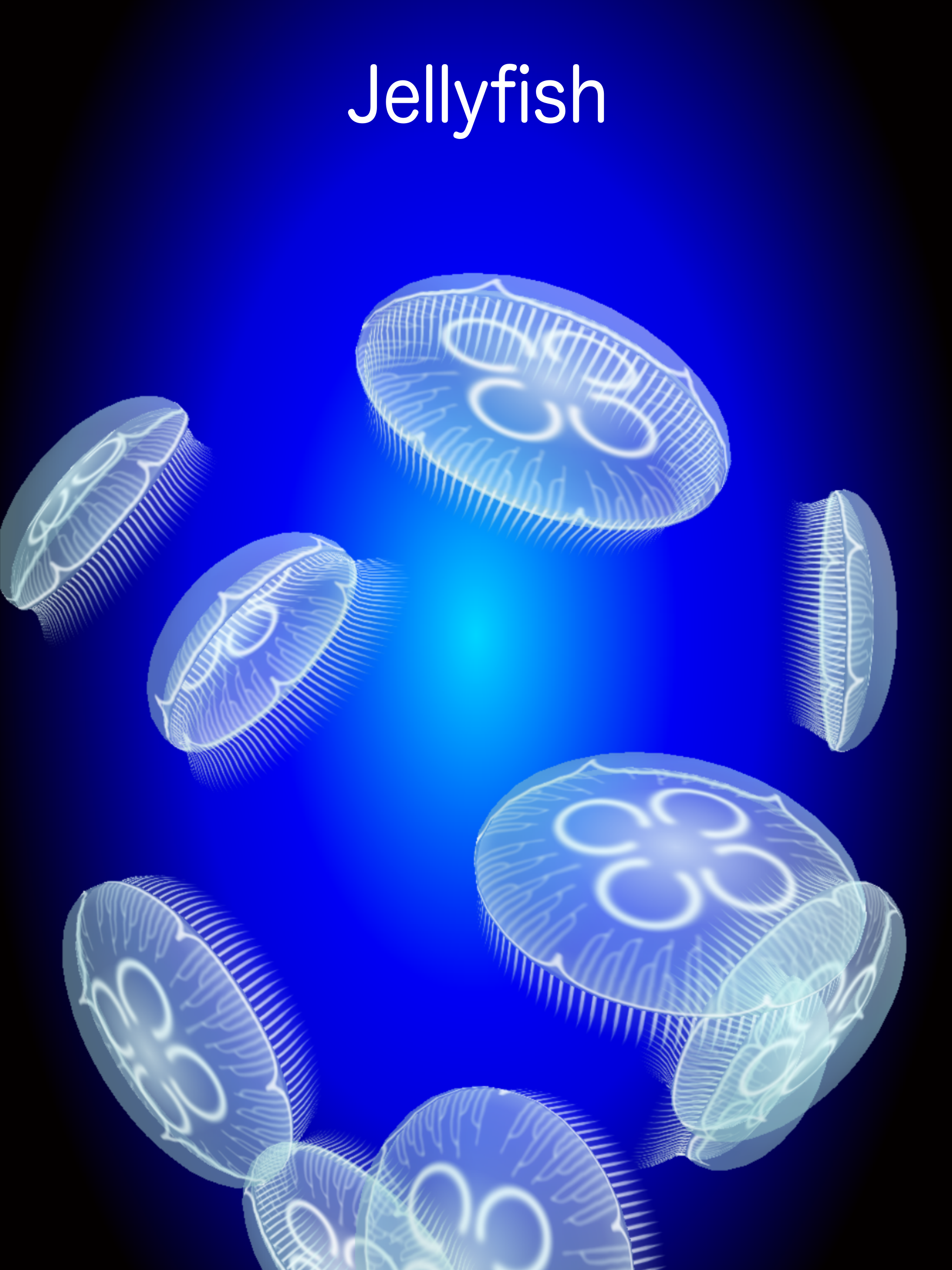 Jellyfish Simulator screenshot 5