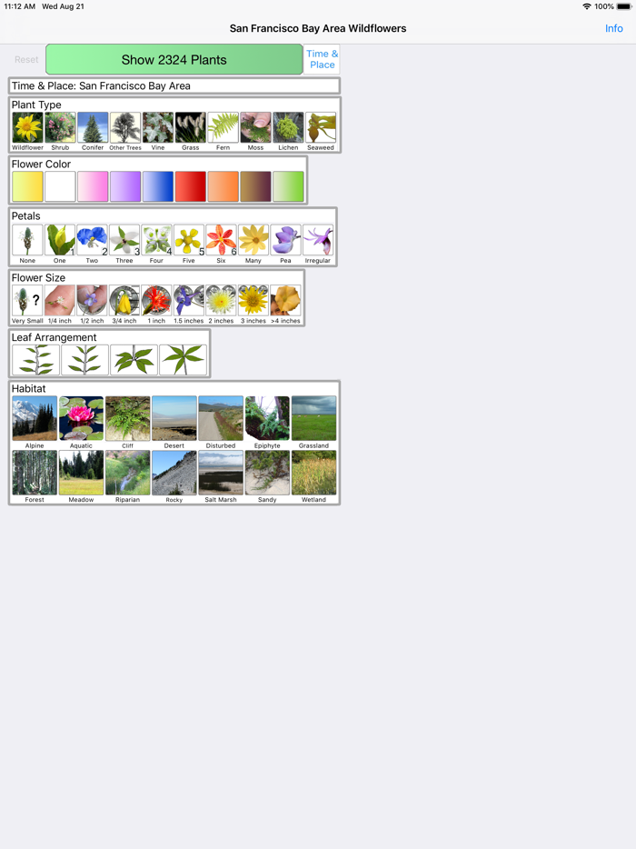 SF Bay Area Wildflowers