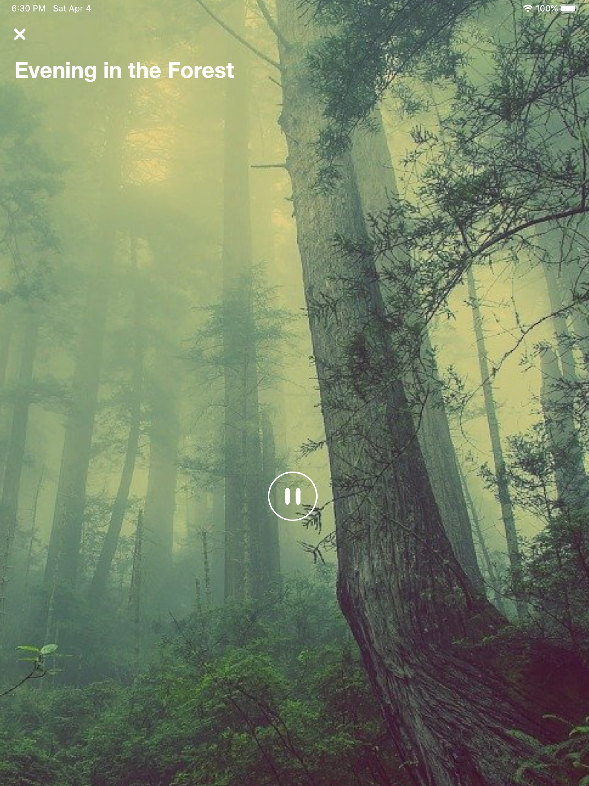 Sleep Sounds & White Noise. screenshot 8