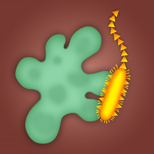 Dermis Defense icon