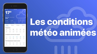Screenshot #2 pour Météo satellite & Carte
