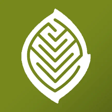 Wildwood School LA Читы