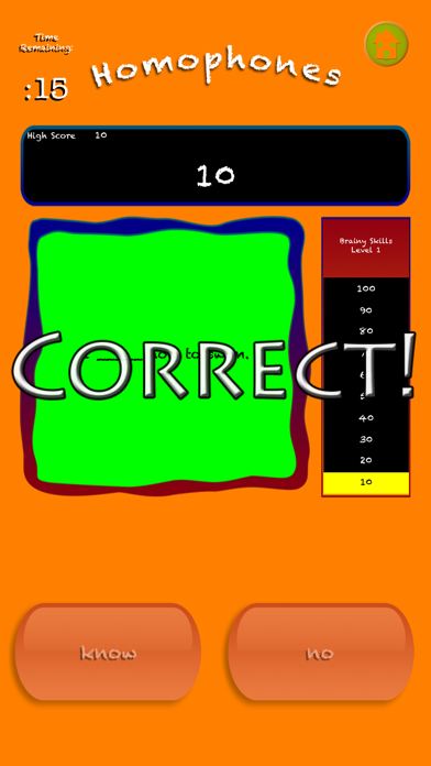 Brainy Skills Homophones Screenshot