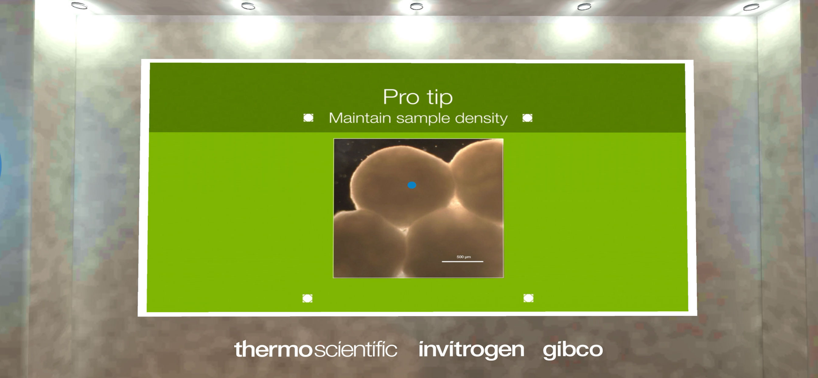 Organoid VR Training Game screenshot 3