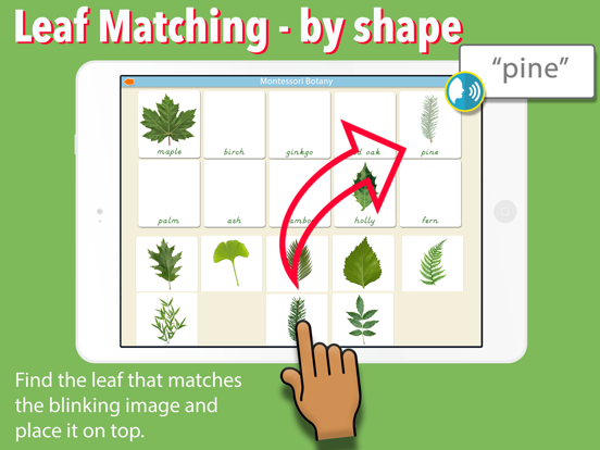 Learn Botany - Parts of Plants iPad screenshot