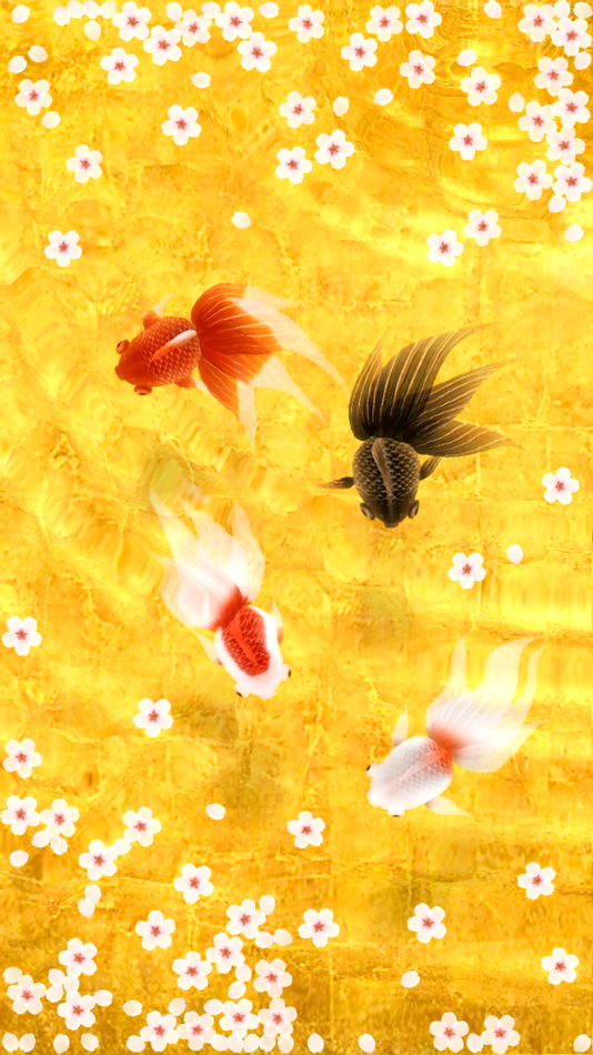 #1. Wa Kingyo - Goldfish Pond (iOS) 由: Masataka Hakozaki