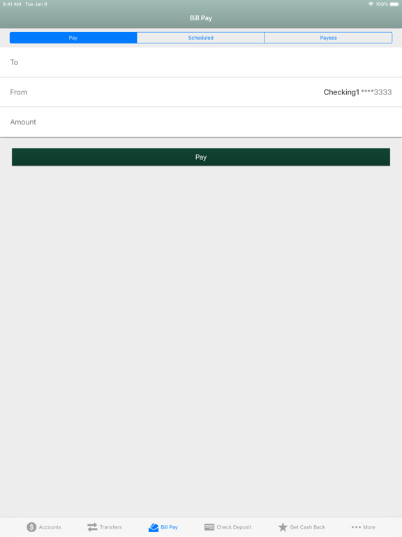 Pentucket Bank iPad screenshot 5 - Finance app