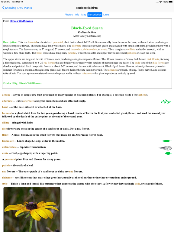 Nebraska Wildflowers iPad screenshot 6 - Education app