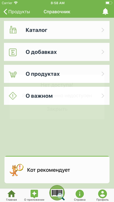 Cat & Foods Screenshot
