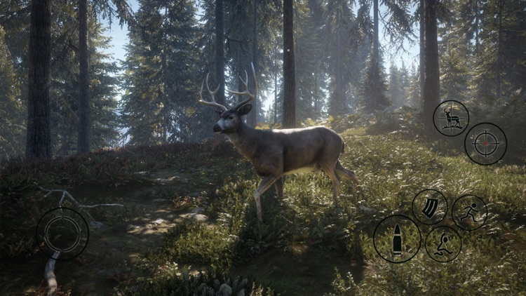 HUNTER 2019 screenshot-7