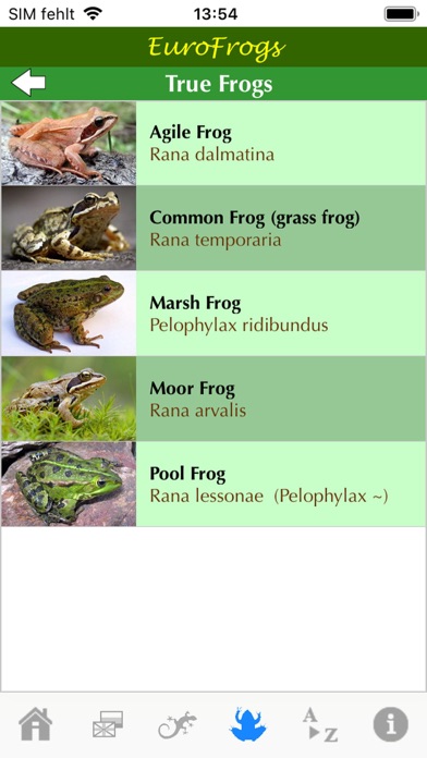 EuroFrogs Screenshot