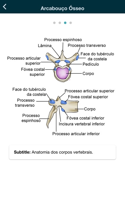 Thorax - thoracic radiology